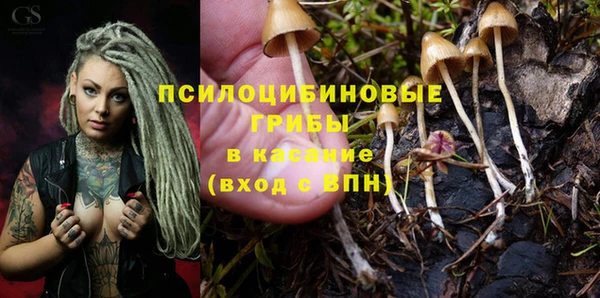 мяу мяу мука Рославль