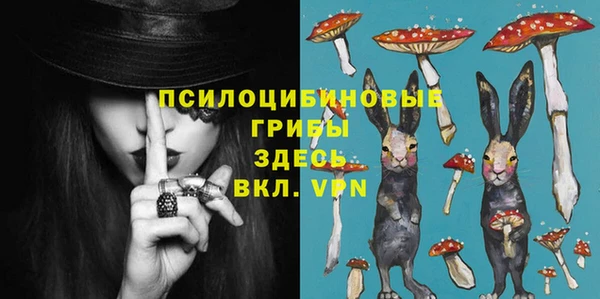мяу мяу мука Рославль