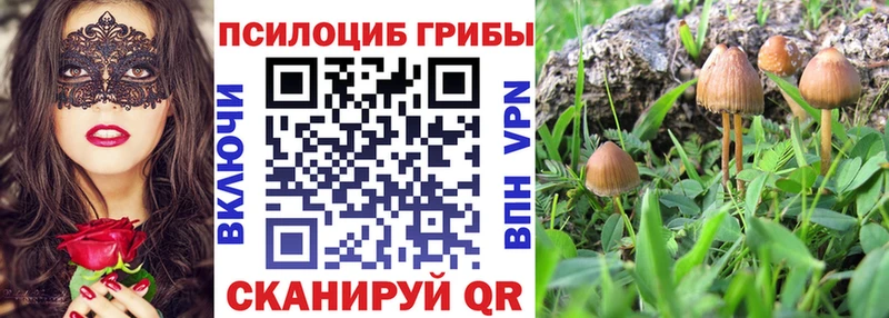 купить наркотики цена  Унеча  blacksprut зеркало  Галлюциногенные грибы MAGIC MUSHROOMS 