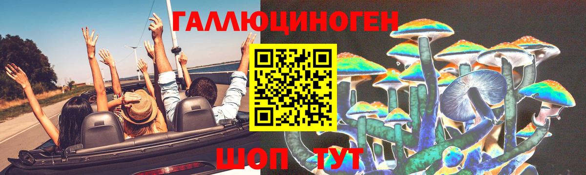 Псилоцибиновые грибы MAGIC MUSHROOMS  Псилоцибиновые грибы Psilocybe  Унеча  Вход с VPN 